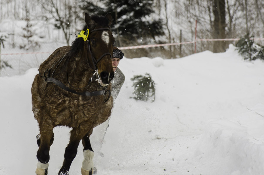 Gazdowska Parada 2017 na Sywarnem