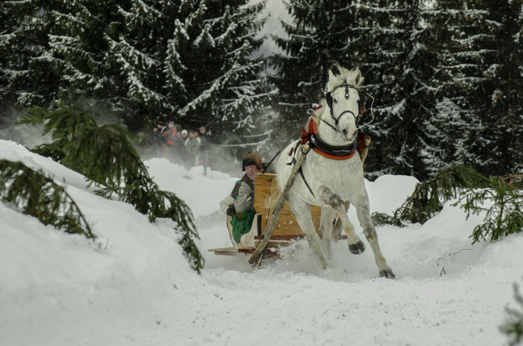 Gazdowska Parada 2017 na Sywarnem