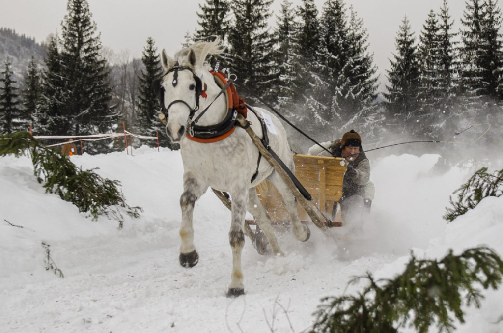 Gazdowska Parada 2017 na Sywarnem