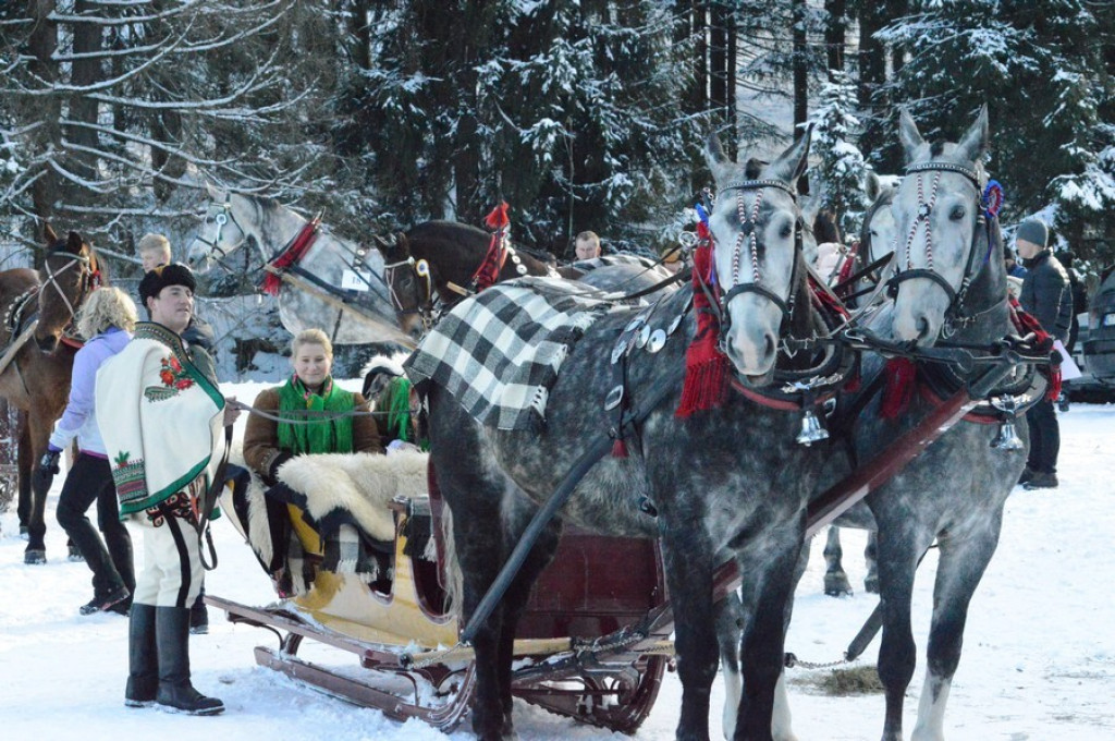 Kumoterki, narty, konie i sokoły