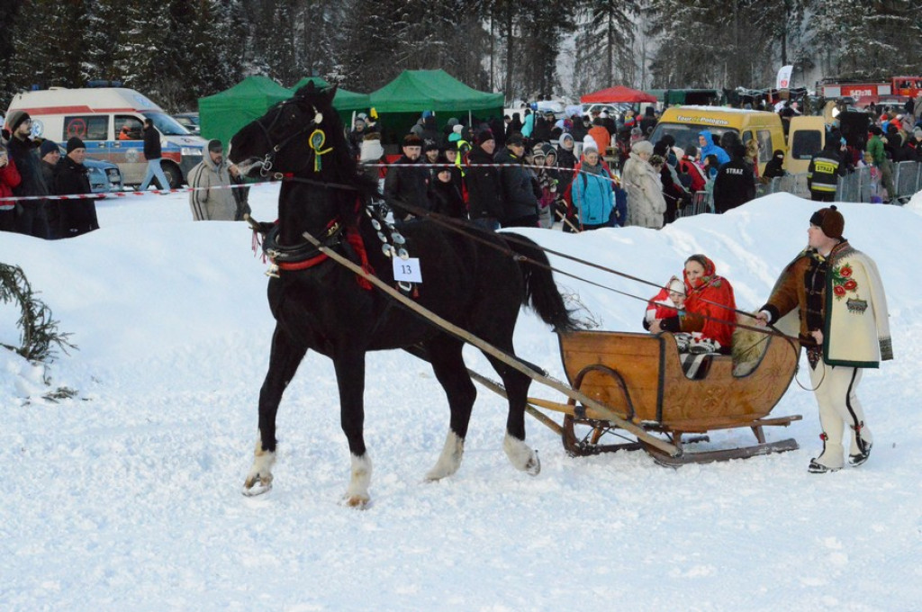 Kumoterki, narty, konie i sokoły