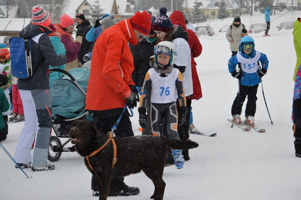 Leć jak Kamil Stoch