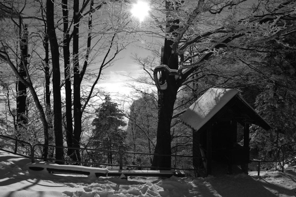 Puste i bajkowe Pieniny