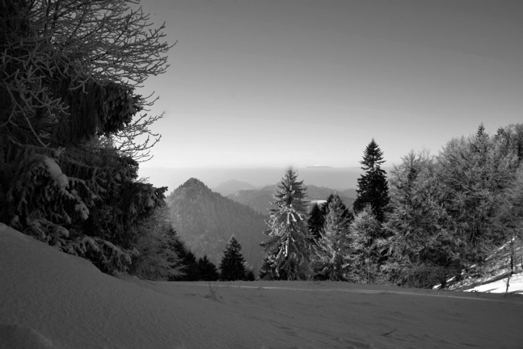 Puste i bajkowe Pieniny