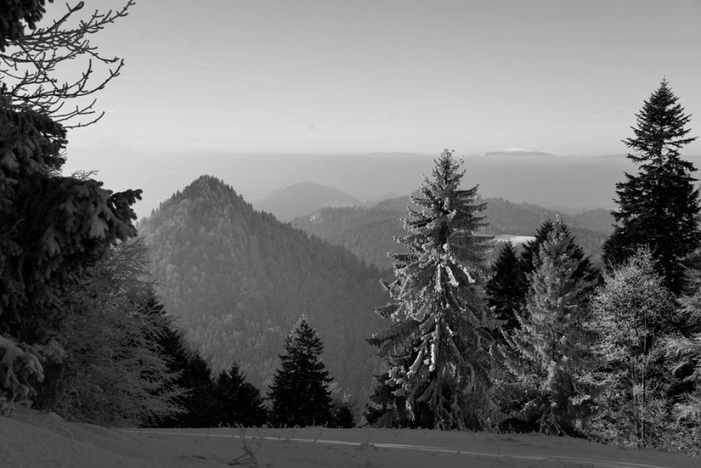 Puste i bajkowe Pieniny