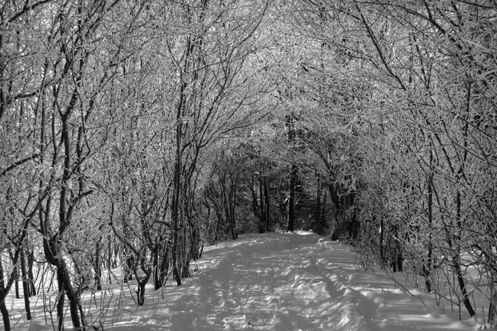 Puste i bajkowe Pieniny