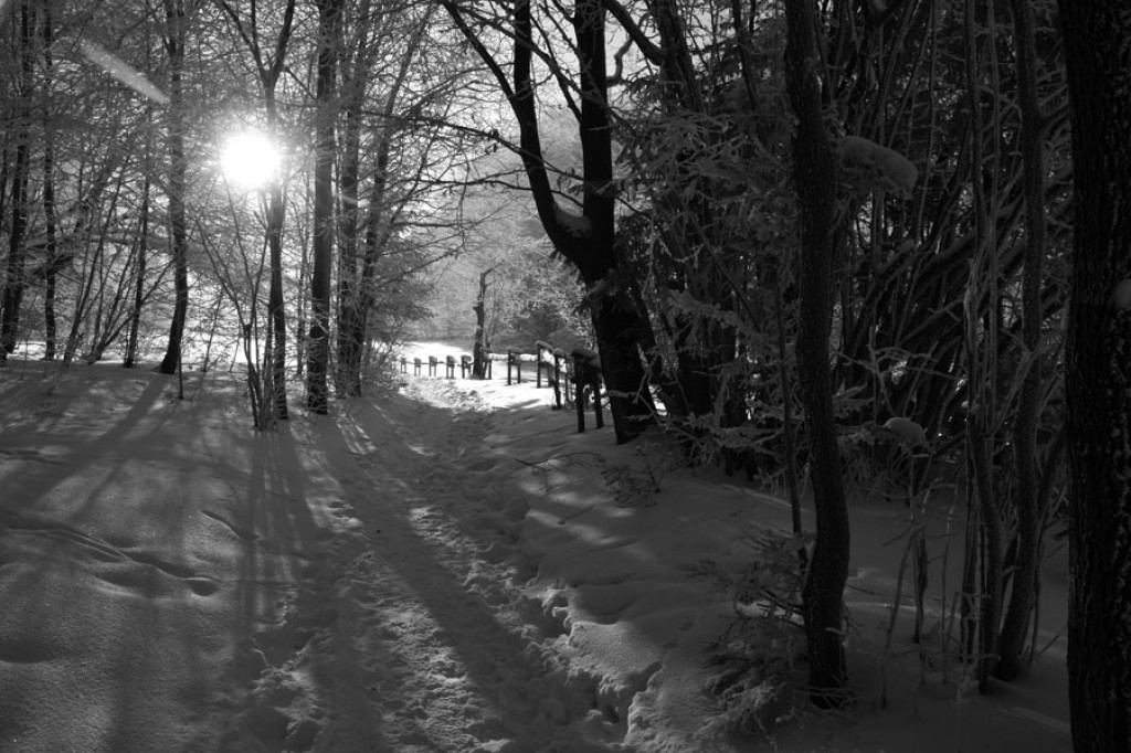 Puste i bajkowe Pieniny