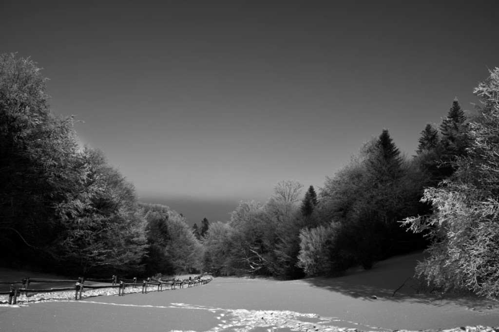 Puste i bajkowe Pieniny