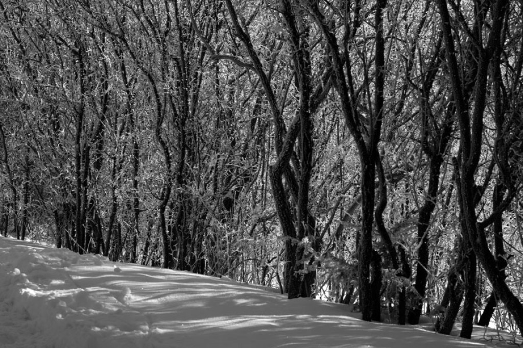Puste i bajkowe Pieniny