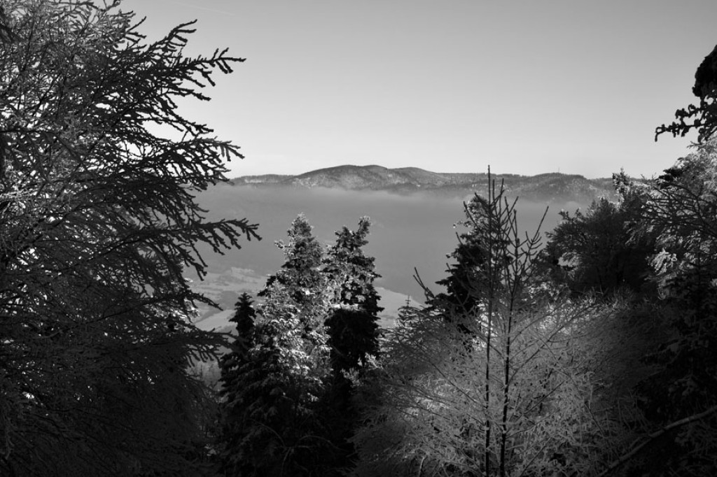 Puste i bajkowe Pieniny