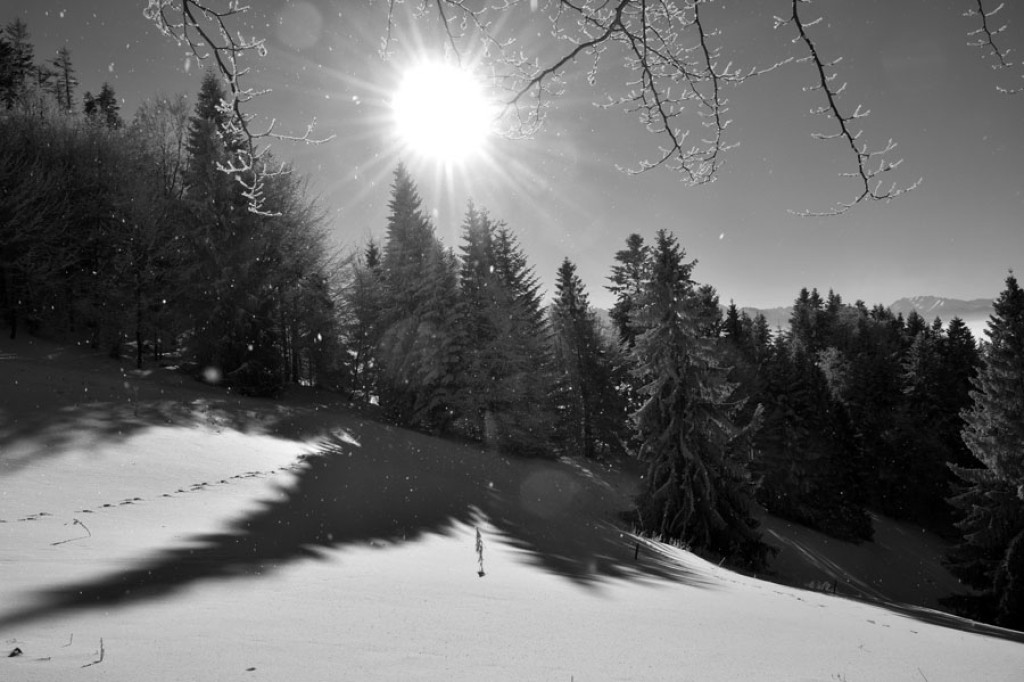 Puste i bajkowe Pieniny