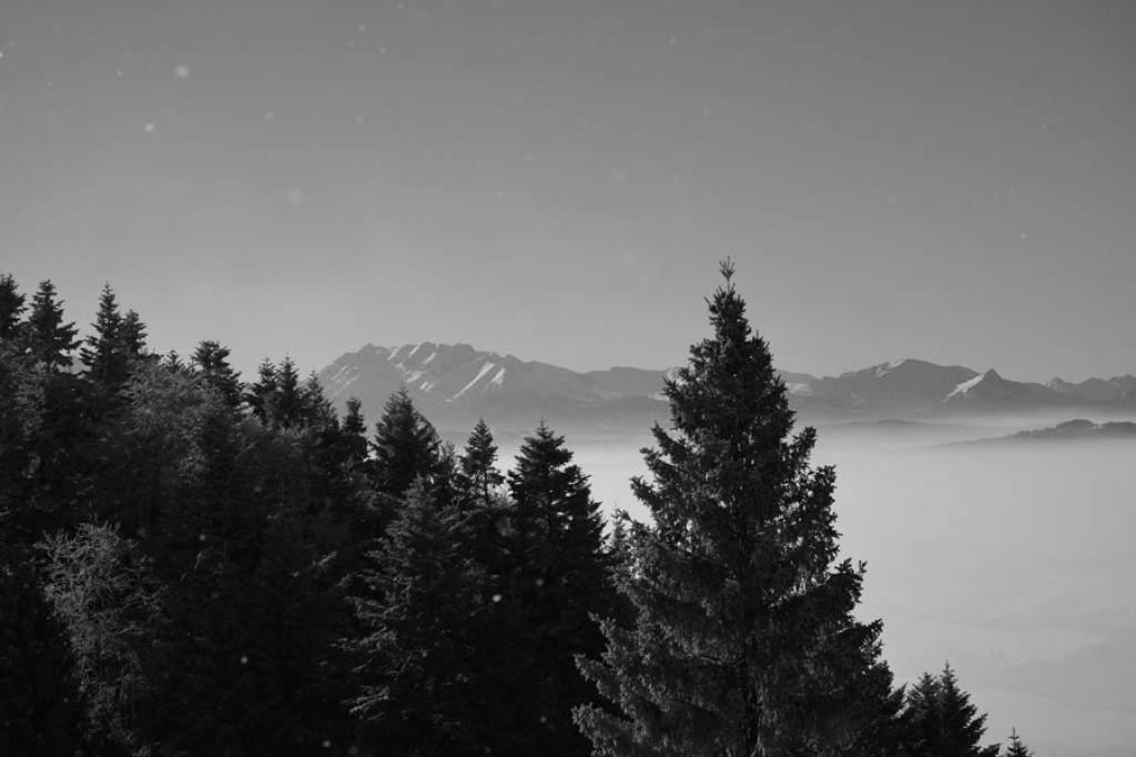 Puste i bajkowe Pieniny