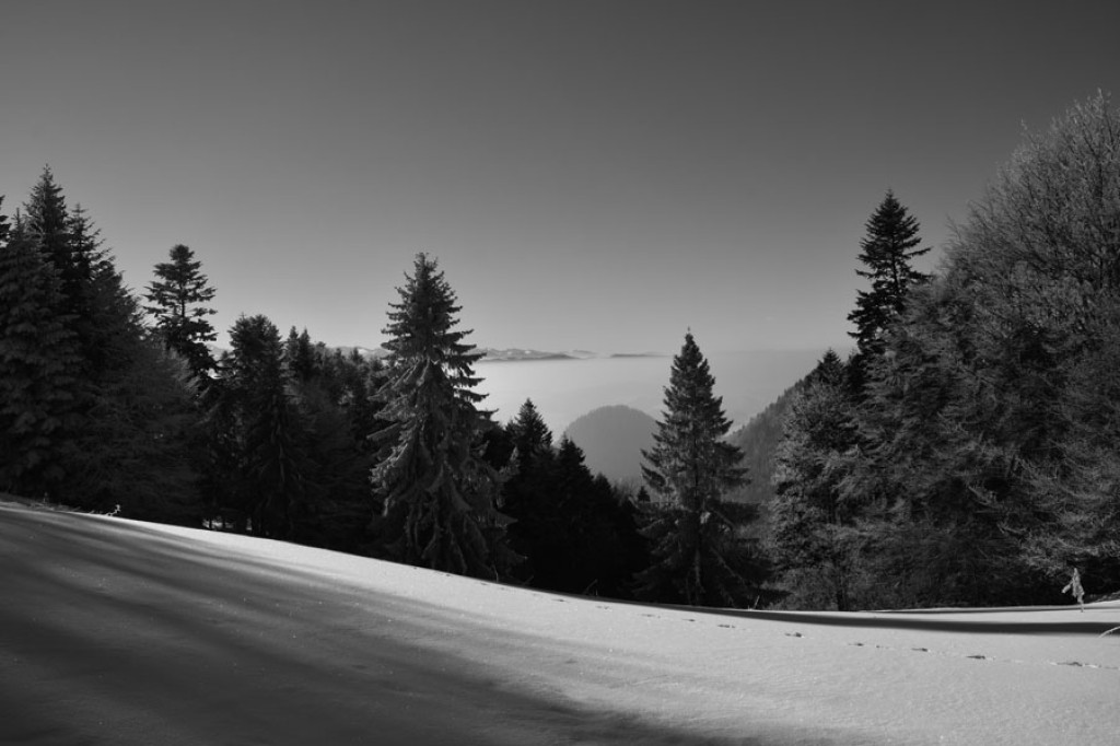 Puste i bajkowe Pieniny
