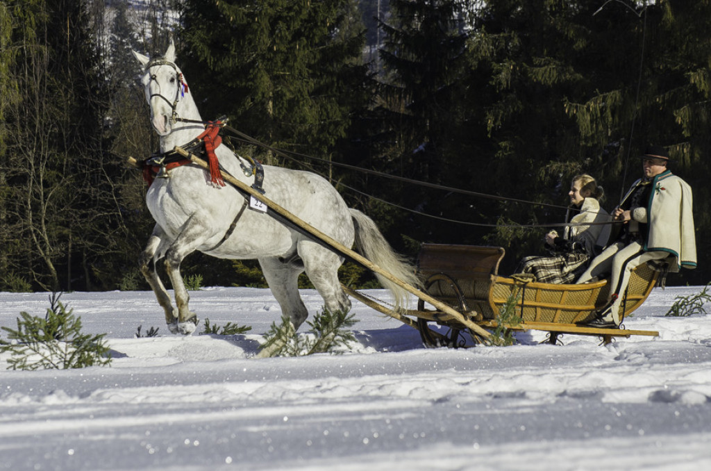 Parada Gazdowska w Małem Cichem