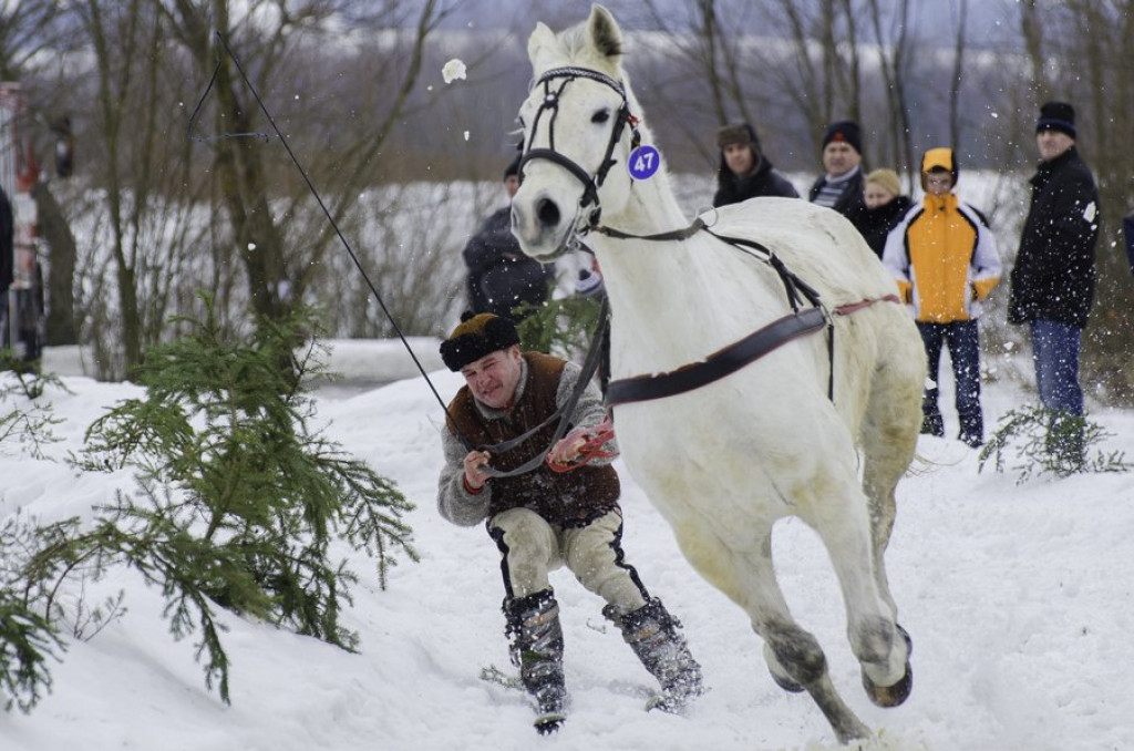 Parada Gazdowska w Ludźmierzu