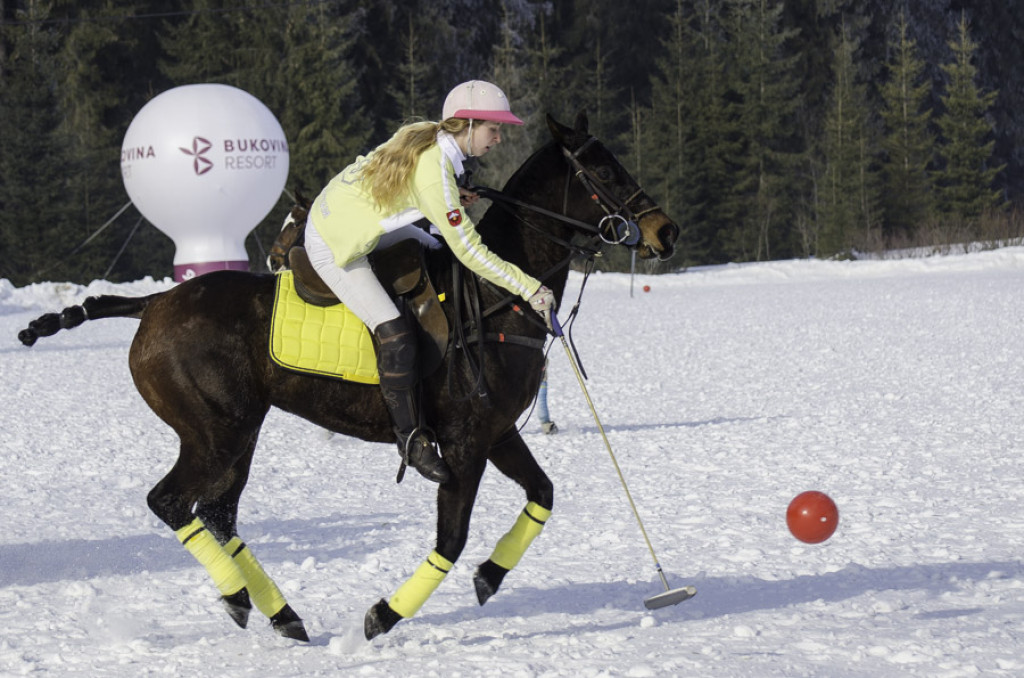 Turniej Polo w Bukowinie Tatrzańskiej
