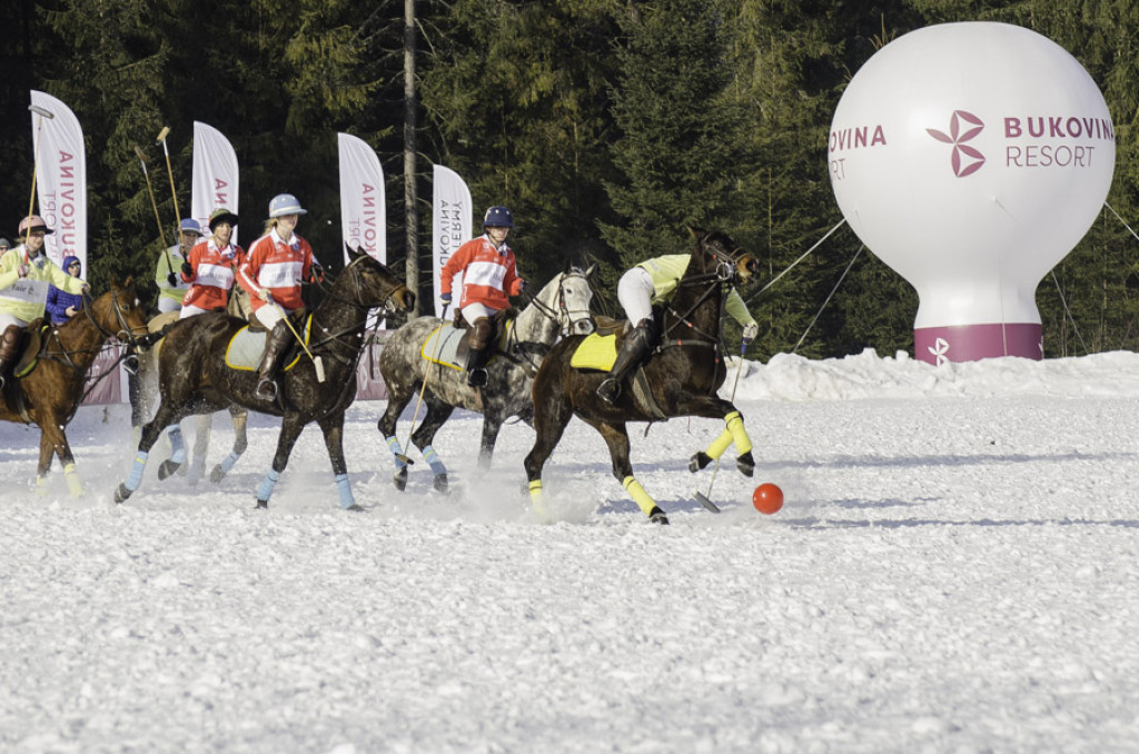 Turniej Polo w Bukowinie Tatrzańskiej
