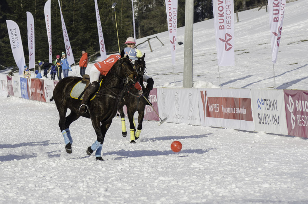 Turniej Polo w Bukowinie Tatrzańskiej