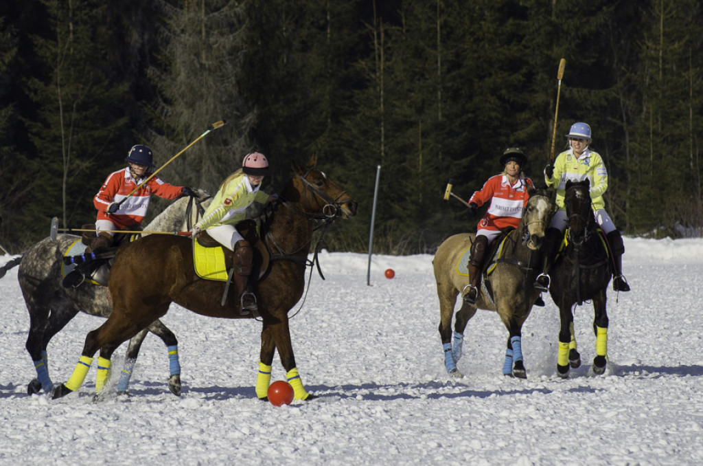 Turniej Polo w Bukowinie Tatrzańskiej
