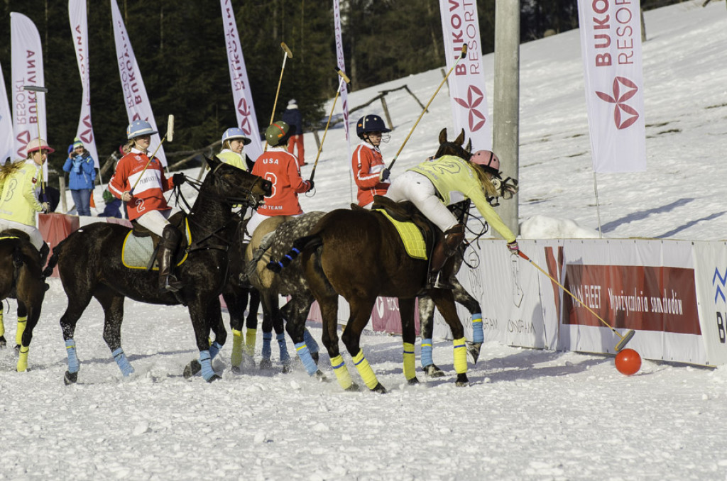 Turniej Polo w Bukowinie Tatrzańskiej