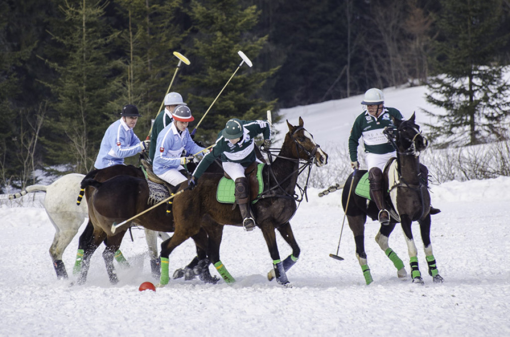 Turniej Polo w Bukowinie Tatrzańskiej