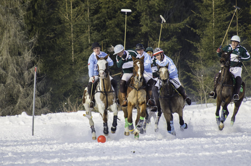 Turniej Polo w Bukowinie Tatrzańskiej