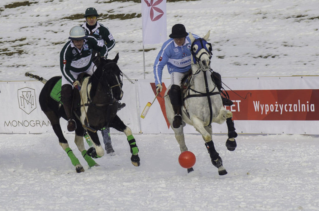 Turniej Polo w Bukowinie Tatrzańskiej