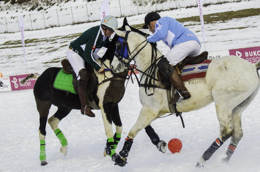 Turniej Polo w Bukowinie Tatrzańskiej