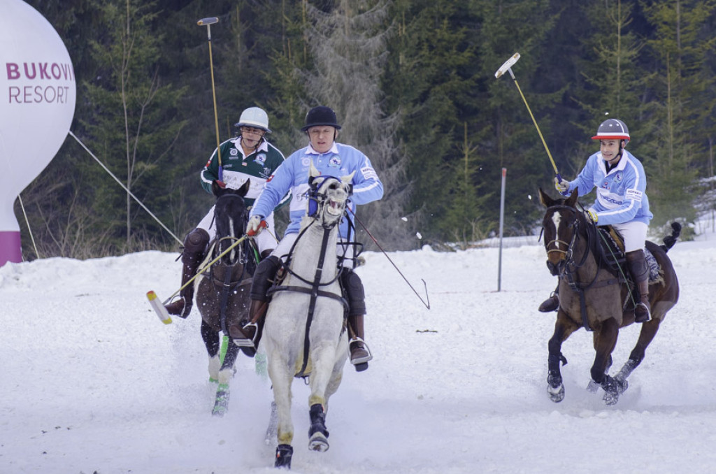 Turniej Polo w Bukowinie Tatrzańskiej