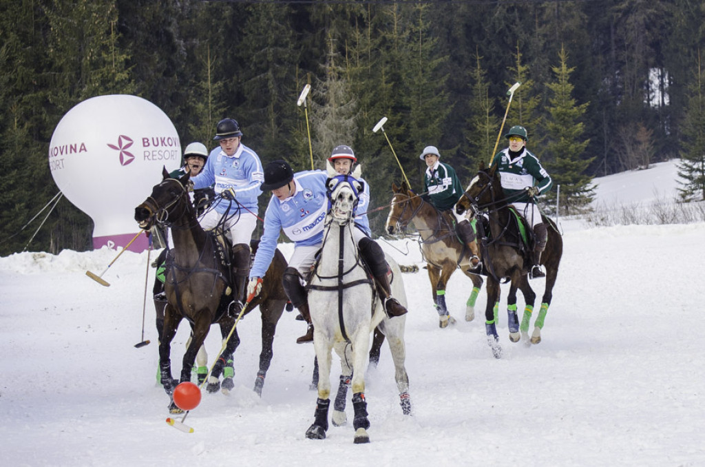 Turniej Polo w Bukowinie Tatrzańskiej