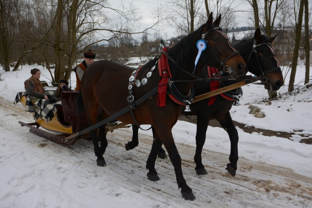 Parada Gazdowska w Białym Dunajcu