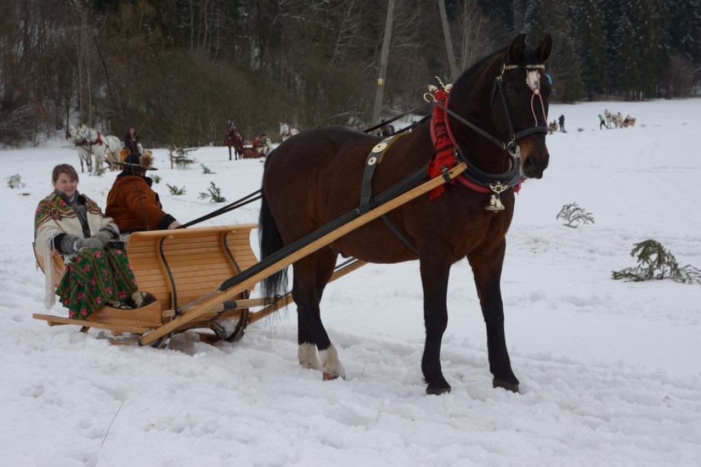 Parada Gazdowska w Białym Dunajcu