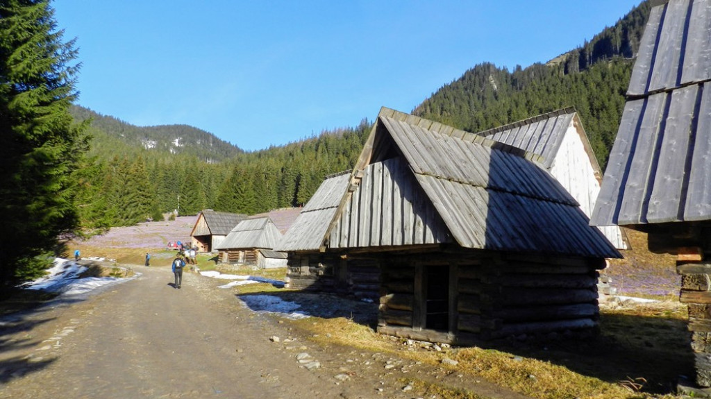 Na Wołowiec marsz