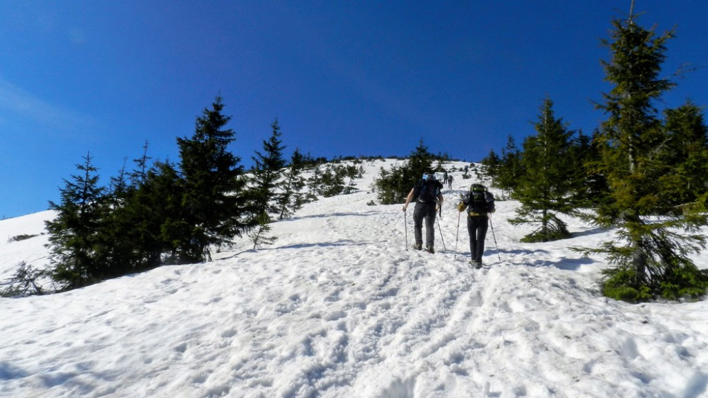 Na Wołowiec marsz