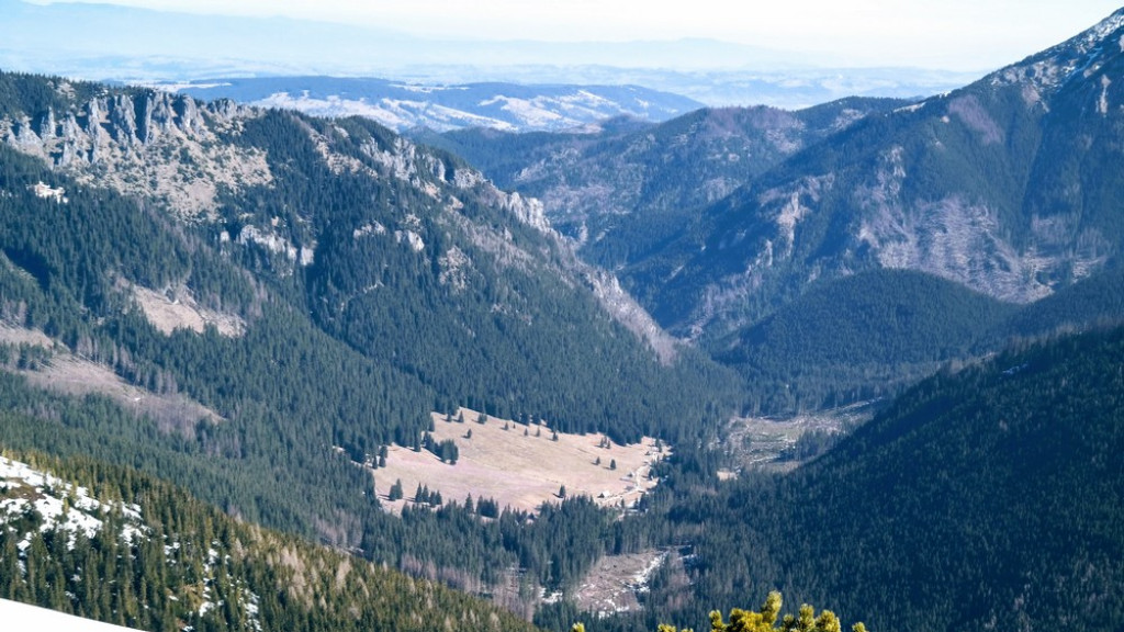 Na Wołowiec marsz