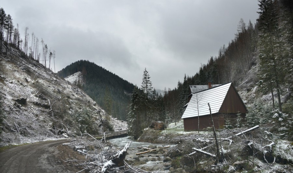 W Tatrach poprószył śnieg