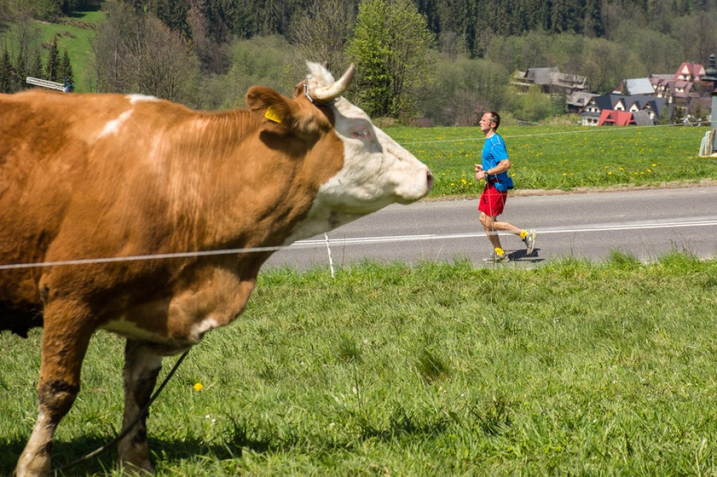 Przebiegli Maraton Podhalański