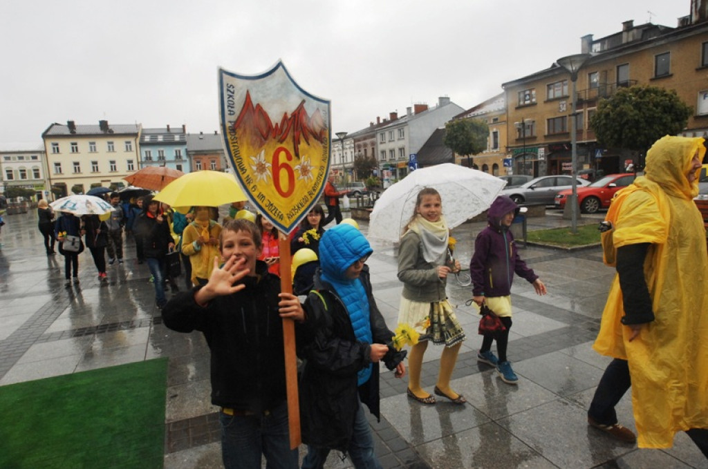 Żonkilowy marsz nadziei