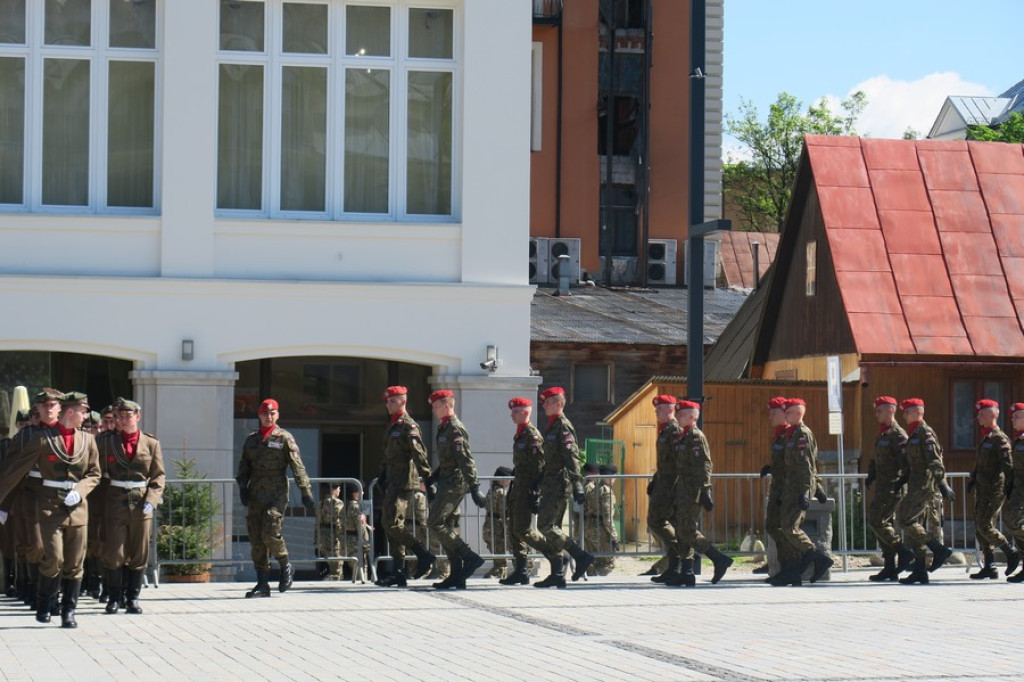 Suną zgodnie równym szykiem