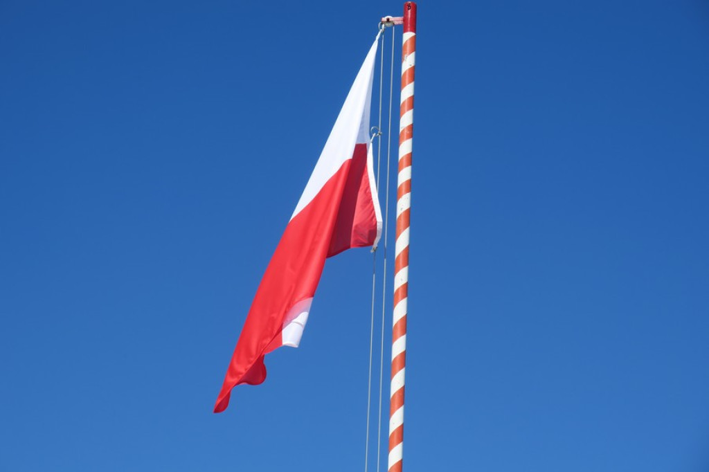 Suną zgodnie równym szykiem