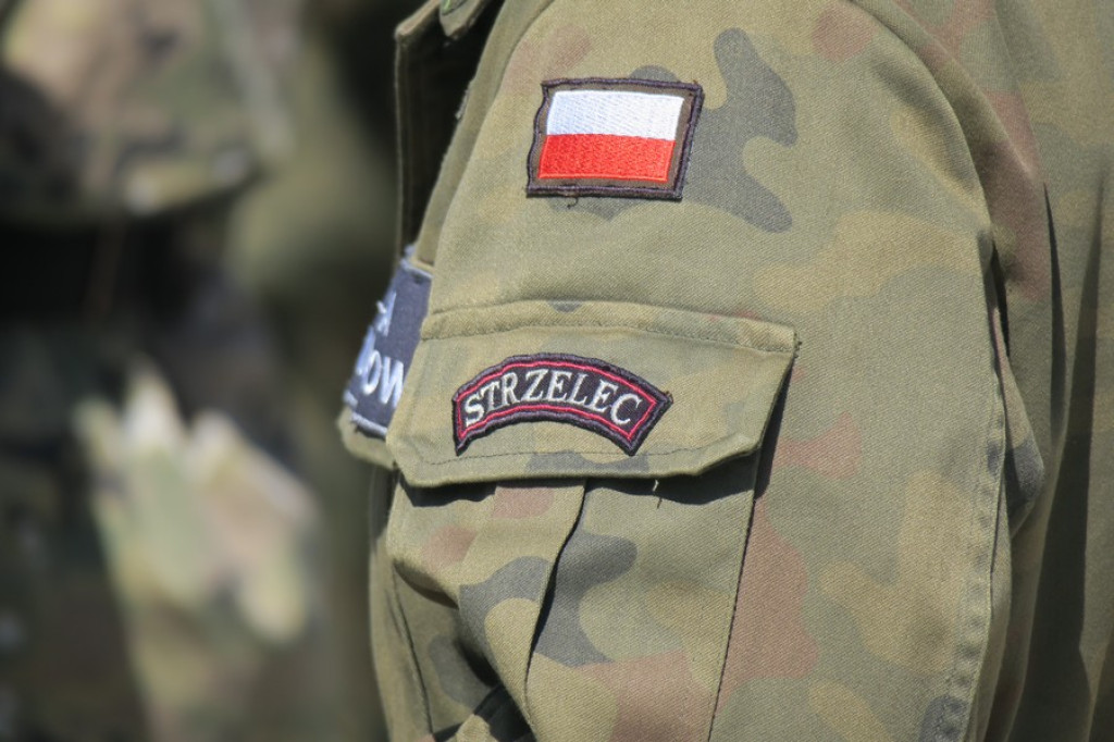 Suną zgodnie równym szykiem