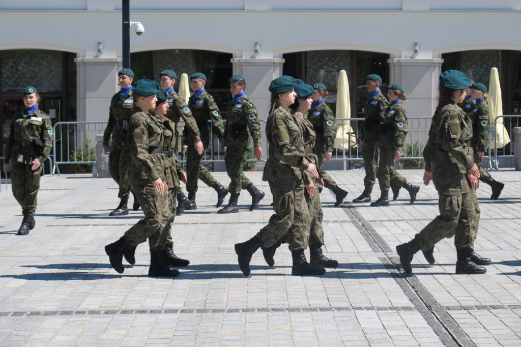 Suną zgodnie równym szykiem