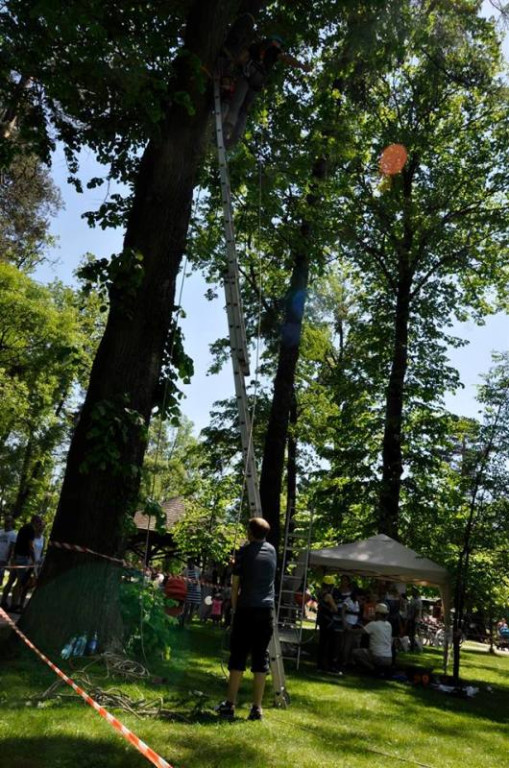 Dzień Dziecka w miejskim parku
