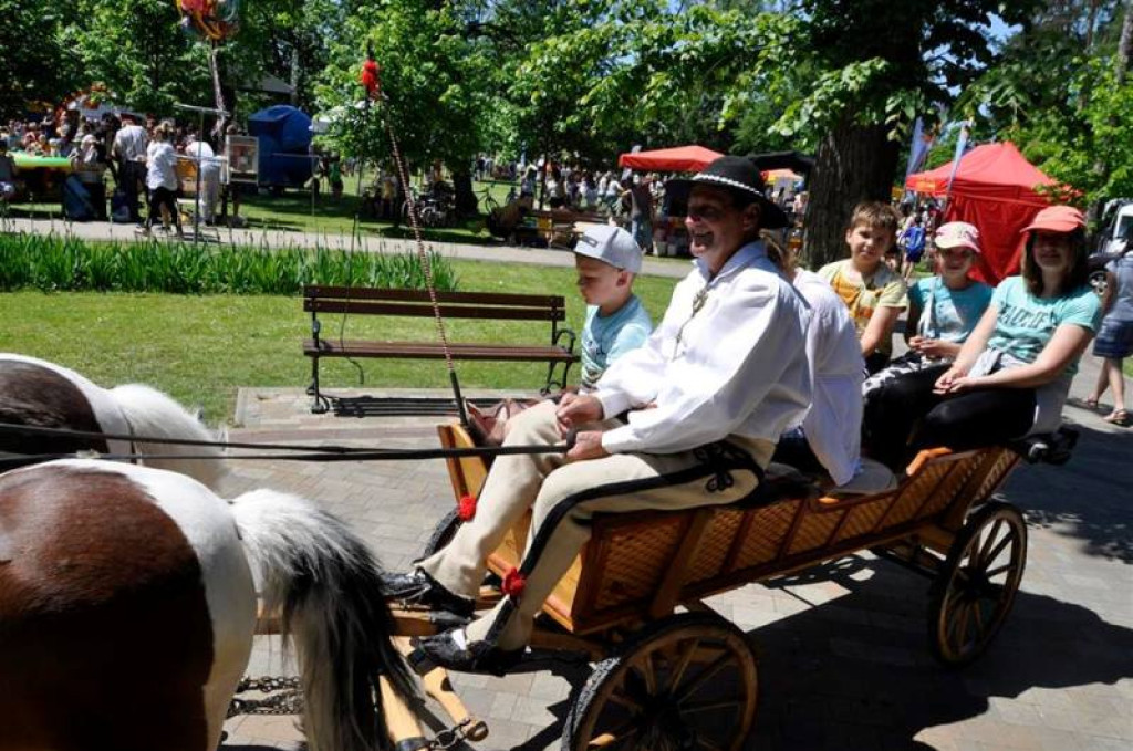 Dzień Dziecka w miejskim parku