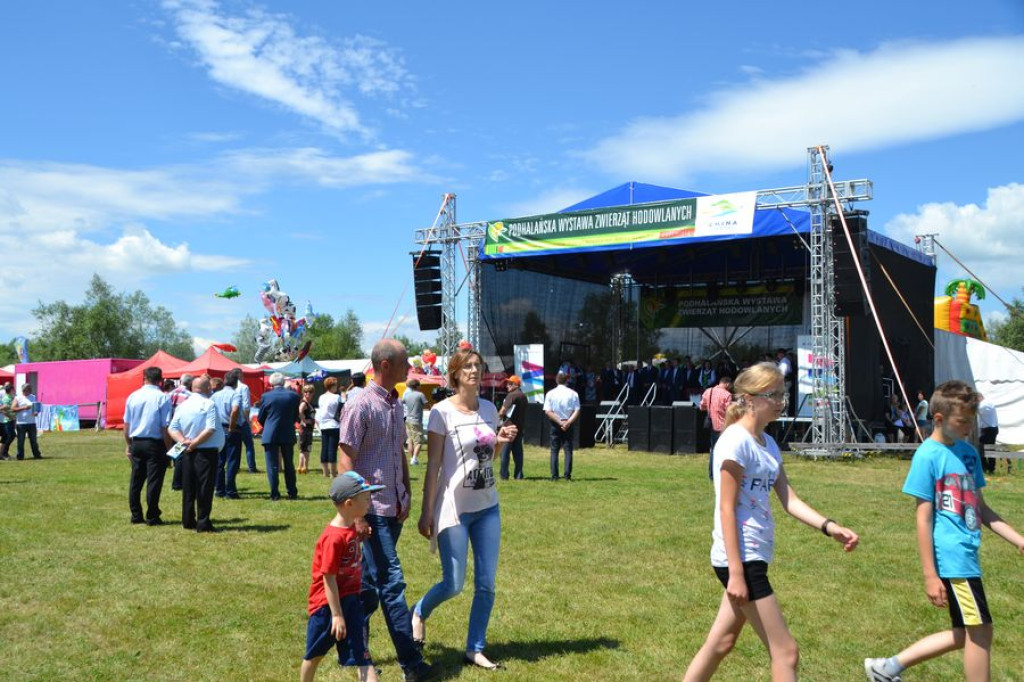 Wystawa zwierząt hodowalnych w Ludźmierzu
