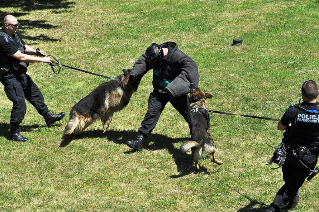 Nowotarscy kadeci na dniu otwartym Szkoły Policji w Katowicach