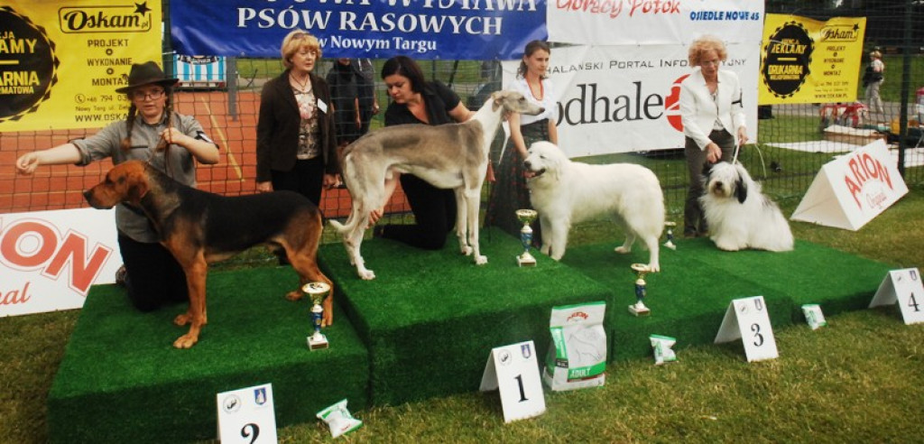 22. Wystawa Psów Rasowych w Nowym Targu