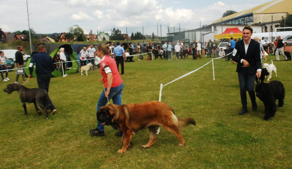 22. Wystawa Psów Rasowych w Nowym Targu