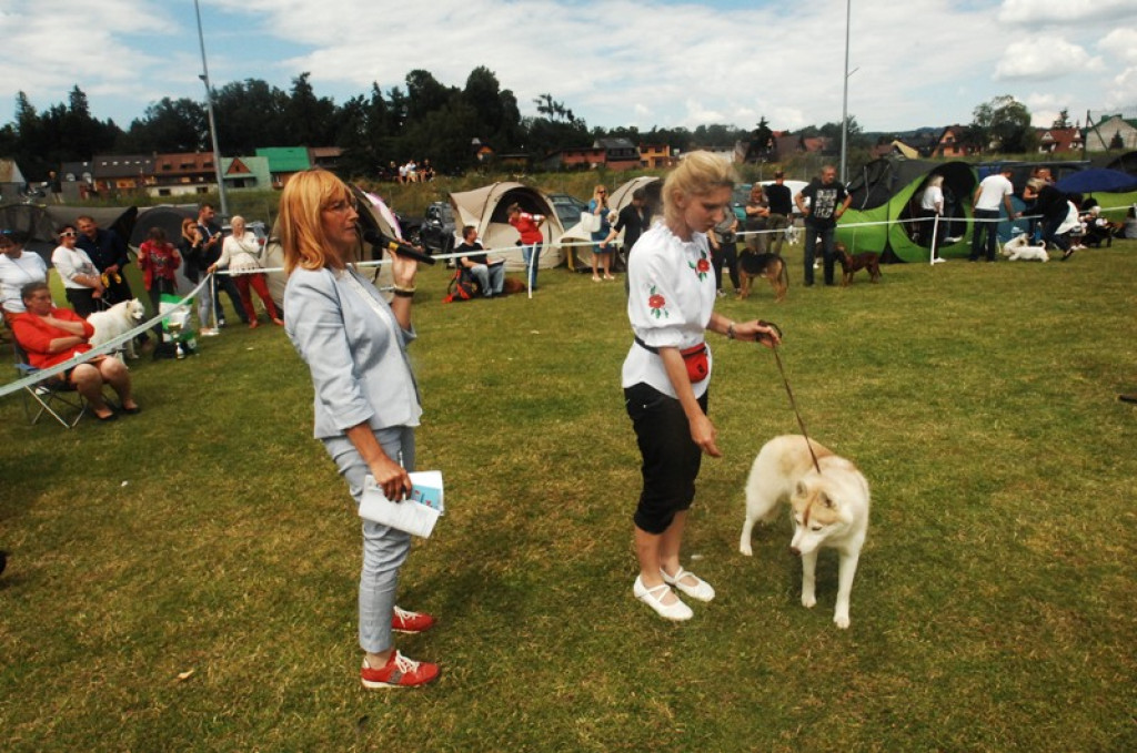 22. Wystawa Psów Rasowych w Nowym Targu