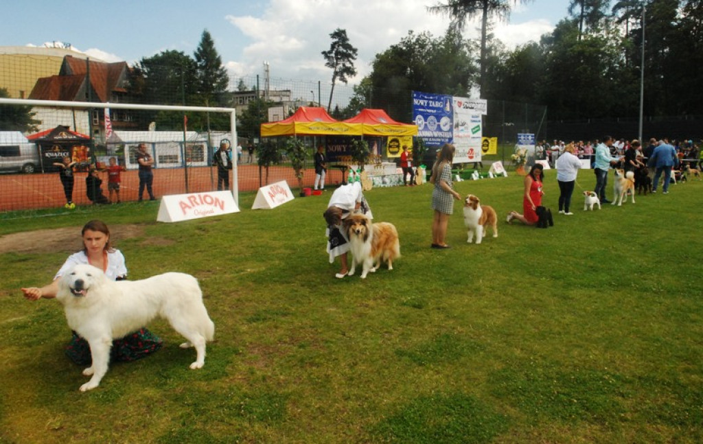 22. Wystawa Psów Rasowych w Nowym Targu